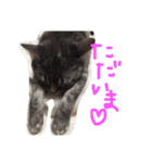 てんじじ（個別スタンプ：7）