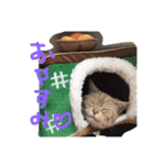 てんじじ（個別スタンプ：9）