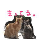 てんじじ（個別スタンプ：18）