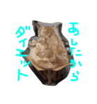 てんじじ（個別スタンプ：21）