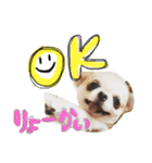 愛犬のキモチ（個別スタンプ：4）