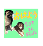 愛犬のキモチ（個別スタンプ：6）