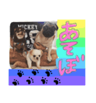 愛犬のキモチ（個別スタンプ：8）