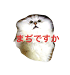 愉快なケモノーズ（個別スタンプ：1）