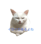 愉快なケモノーズ（個別スタンプ：4）