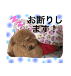 トイプードル  モカ②（個別スタンプ：4）