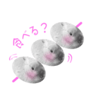 ウサギのマロ会長（個別スタンプ：3）