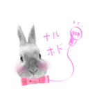 ウサギのマロ会長（個別スタンプ：9）