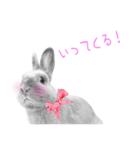 ウサギのマロ会長（個別スタンプ：10）