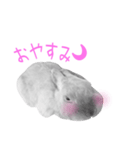 ウサギのマロ会長（個別スタンプ：14）