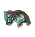マロン時々チャック（個別スタンプ：3）