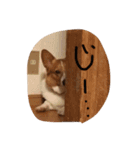 気まぐれそら（個別スタンプ：3）
