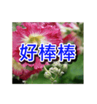 Flower images_3（個別スタンプ：1）