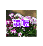 Flower images_3（個別スタンプ：6）