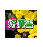 Flower images_3（個別スタンプ：25）