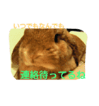 うさぎのらいとくんの日常（個別スタンプ：5）