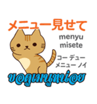 料理が上手な猫日本語タイ語（個別スタンプ：17）