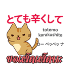 料理が上手な猫日本語タイ語（個別スタンプ：22）