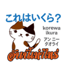 料理が上手な猫日本語タイ語（個別スタンプ：23）