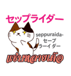 料理が上手な猫日本語タイ語（個別スタンプ：38）