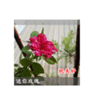 Beautiful flower greeting(Part 1)（個別スタンプ：5）