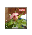 Beautiful flower greeting(Part 1)（個別スタンプ：10）