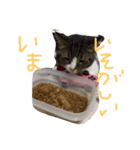 まろ。（個別スタンプ：6）