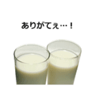 牛乳（個別スタンプ：12）