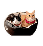 ウチのボーイズ2（個別スタンプ：3）