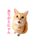 ウチのボーイズ2（個別スタンプ：5）