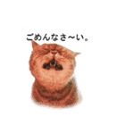 猫のスタンプ。ときどき馬。（個別スタンプ：9）
