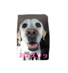 十字架の気分2（個別スタンプ：7）