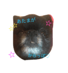 かわいいポメラニアンの気持ち（個別スタンプ：3）