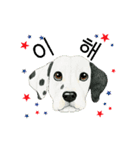 Dog motion sticker (Korean)（個別スタンプ：2）