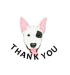 Dog motion sticker (Korean)（個別スタンプ：3）