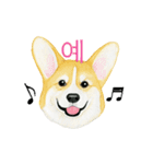 Dog motion sticker (Korean)（個別スタンプ：7）