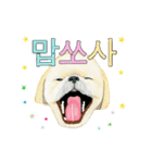 Dog motion sticker (Korean)（個別スタンプ：11）