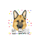 Dog motion sticker (Korean)（個別スタンプ：13）