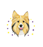 Dog motion sticker (Korean)（個別スタンプ：14）