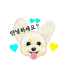 Dog motion sticker (Korean)（個別スタンプ：16）
