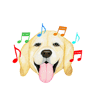 Dog motion sticker (Korean)（個別スタンプ：19）