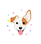 Dog motion sticker (Korean)（個別スタンプ：21）