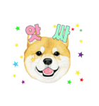 Dog motion sticker (Korean)（個別スタンプ：22）