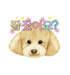 Dog motion sticker (Korean)（個別スタンプ：23）