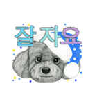 Dog motion sticker (Korean)（個別スタンプ：24）