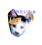 飲みたいねこ（個別スタンプ：3）