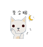 courage planet's cat（個別スタンプ：12）