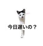 アブサン＆チャーリー（個別スタンプ：14）