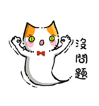 Ghost Little Cat（個別スタンプ：16）
