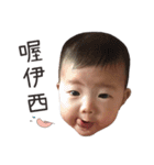 Phoebe baby 1（個別スタンプ：19）